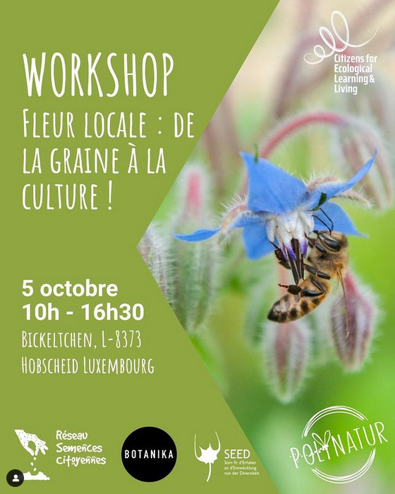 Workshop : Fleur locale : de la graine à la culture !