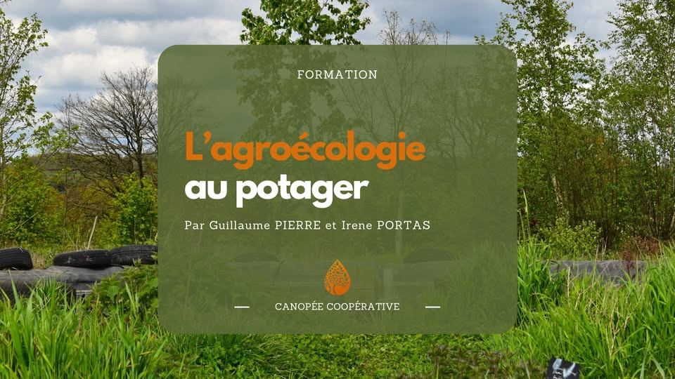 L’agroécologie au potager