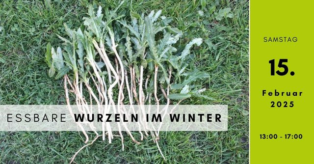 Essbare Wurzeln im Winter