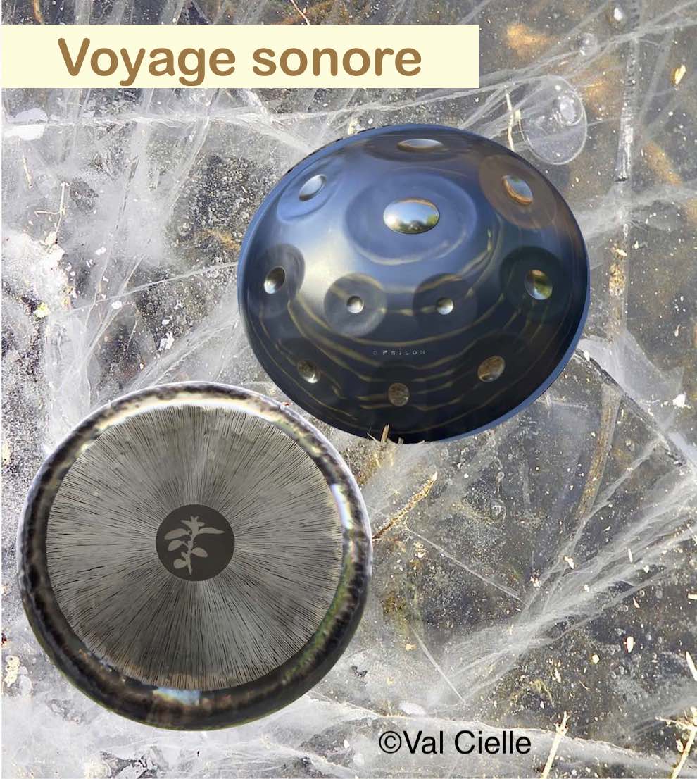 Voyage sonore Nature